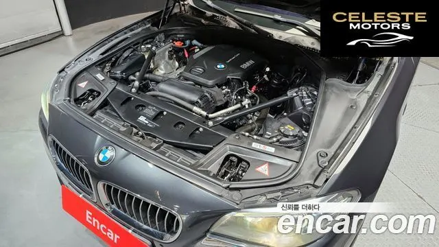 BMW Série 5 (F10) 520d xDrive 2015 — photo 6 sur 20