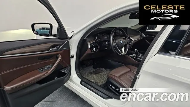 BMW Série 5 (G30) 520d Luxury Plus 2018 — photo 10 sur 20