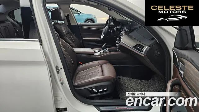 BMW Série 5 (G30) 520d Luxury Plus 2018 — photo 11 sur 20