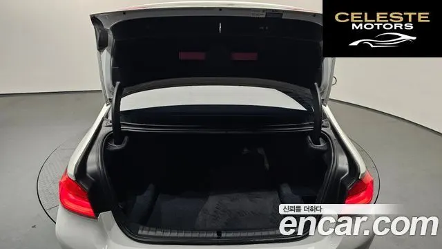 BMW Série 5 (G30) 520d Luxury Plus 2018 — photo 20 sur 20