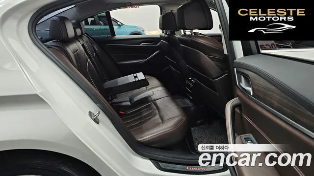BMW Série 5 (G30) 520d Luxury Plus 2018 — photo 12 sur 20