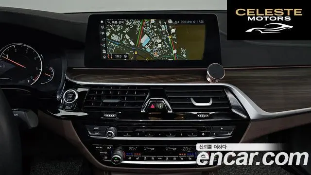 BMW Série 5 (G30) 520d Luxury Plus 2018 — photo 14 sur 20