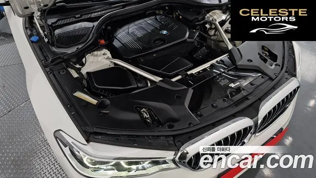 BMW Série 5 (G30) 520d Luxury Plus 2018 — photo 6 sur 20