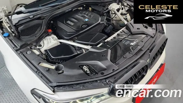 BMW Série 5 (G30) 520d xDrive M Sport Plus 2018 — photo 6 sur 20