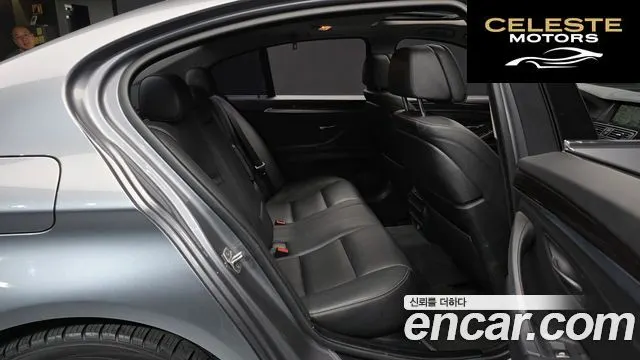 BMW Série 5 (F10) 520d xDrive Luxury Plus 2016 — photo 12 sur 20