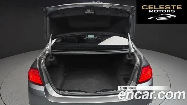 BMW Série 5 (F10) 520d xDrive Luxury Plus 2016 — photo 20 sur 20