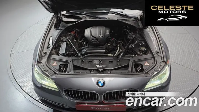 BMW Série 5 (F10) 520d xDrive Luxury Plus 2016 — photo 6 sur 20