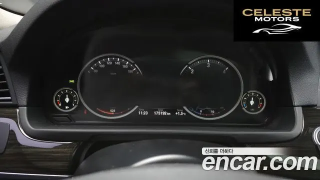 BMW Série 5 (F10) 520d xDrive Luxury Plus 2016 — photo 8 sur 20
