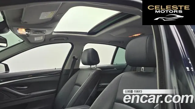 BMW Série 5 (F10) 520d xDrive M Aéro Dynamic 2016 — photo 19 sur 20