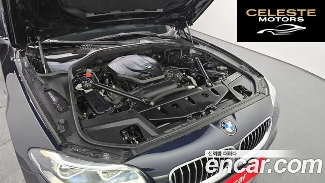 BMW Série 5 (F10) 520d xDrive M Aéro Dynamic 2016 — photo 6 sur 20