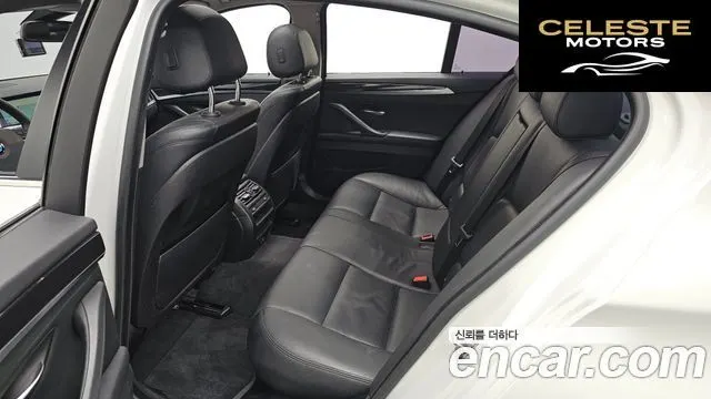 BMW Série 5 (F10) 520d 2014 — photo 11 sur 20