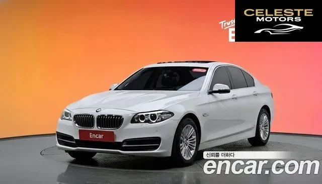 BMW Série 5 (F10) 520d 2014 — photo 20 sur 20