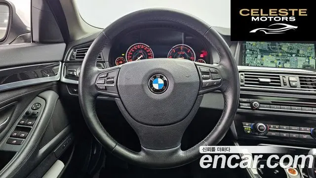 BMW Série 5 (F10) 520d xDrive 2014 — photo 13 sur 20