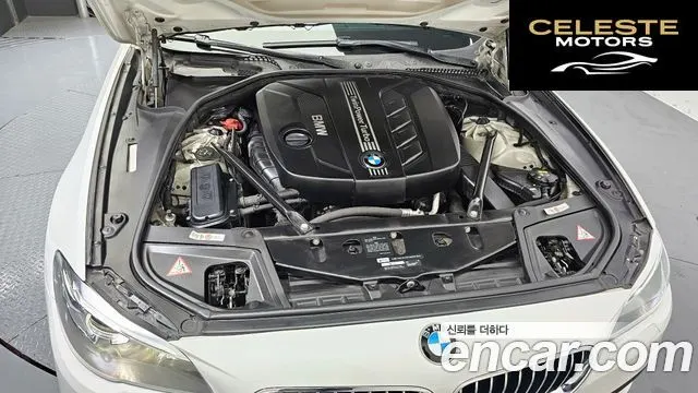 BMW Série 5 (F10) 520d xDrive 2014 — photo 6 sur 20