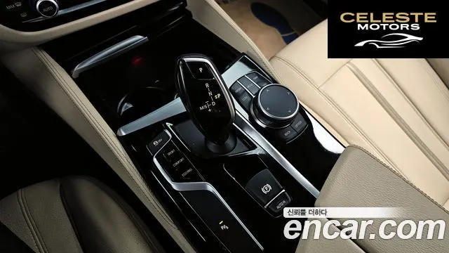 BMW Série 5 (G30) 520i Luxury 2020 — photo 9 sur 26