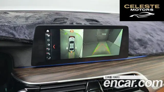 BMW Série 5 (G30) 520d M Sport Plus 2017 — photo 15 sur 26