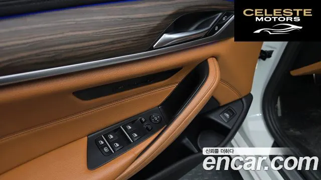 BMW Série 5 (G30) 520d M Sport Plus 2017 — photo 16 sur 26