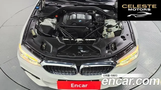 BMW Série 5 (G30) 520d M Sport Plus 2017 — photo 5 sur 26