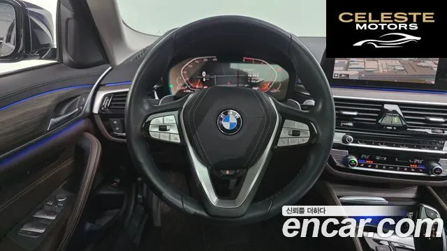 BMW Série 5 (G30) 520d xDrive Luxury Plus 2020 — photo 13 sur 20
