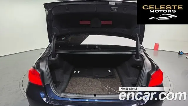 BMW Série 5 (G30) 520d xDrive Luxury Plus 2020 — photo 20 sur 20