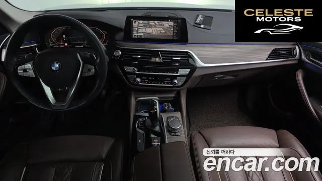 BMW Série 5 (G30) 520d xDrive Luxury Plus 2020 — photo 7 sur 20