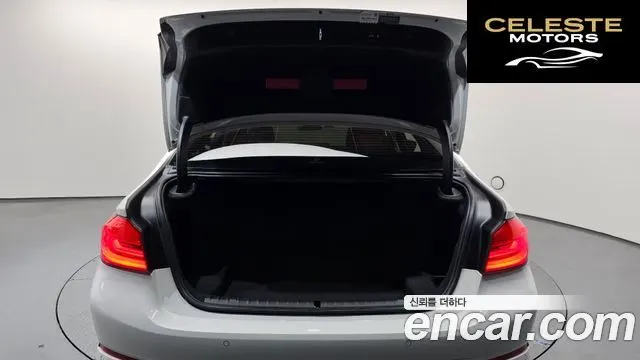 BMW Série 5 (G30) 520d Luxury Spécial Edition 2018 — photo 20 sur 20