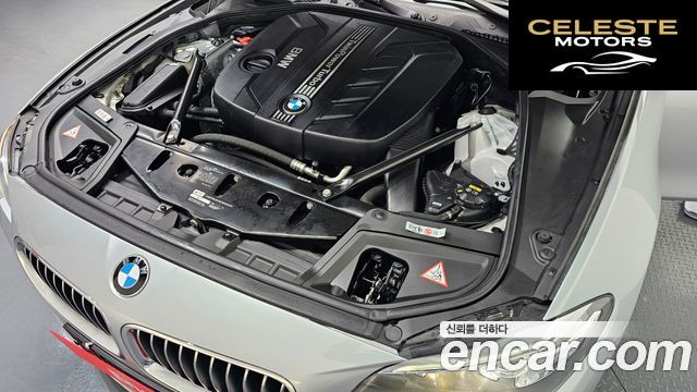 BMW Série 5 (F10) 520d 2014 — photo 6 sur 20