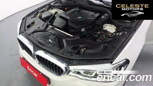 BMW Série 5 (G30) 530i M Sport Plus 2018 — photo 6 sur 20