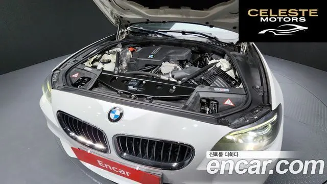 BMW Série 5 (F10) 528i xDrive M Aéro Dynamic 2016 — photo 6 sur 20