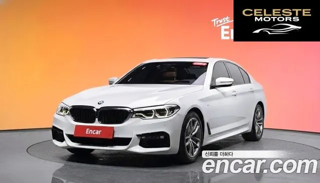 BMW Série 5 (G30) 520d M Sport Plus 2017 — photo 20 sur 26