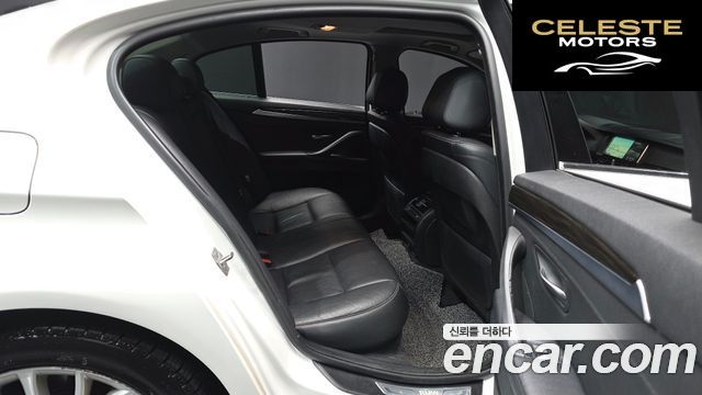 BMW Série 5 (F10) 520d xDrive Luxury 2014 — photo 12 sur 20