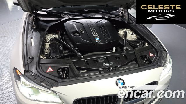 BMW Série 5 (F10) 520d xDrive Luxury 2014 — photo 6 sur 20
