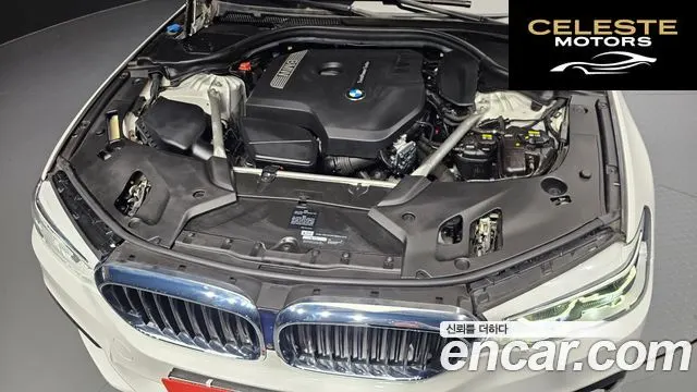 BMW Série 5 (G30) 530i M Sport Plus 2018 — photo 6 sur 20