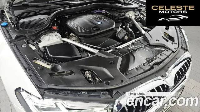 BMW Série 5 (G30) 523d xDrive Luxury 2021 — photo 6 sur 20