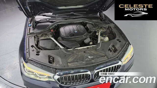 BMW Série 5 (G30) 520d xDrive Luxury Plus 2020 — photo 6 sur 20