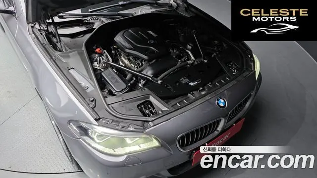 BMW Série 5 (F10) 520d xDrive M Aéro Dynamic 2016 — photo 6 sur 20
