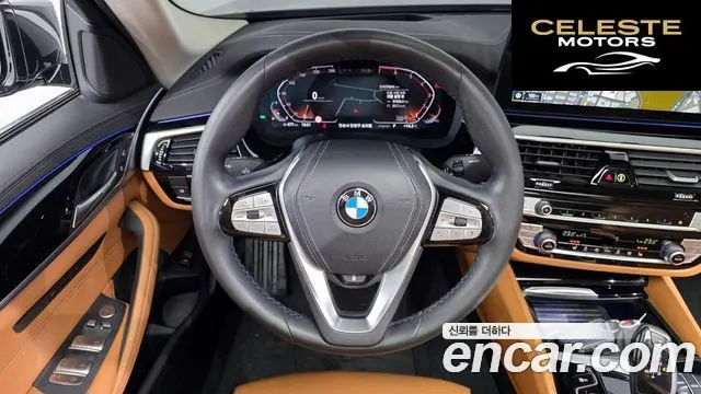 BMW Série 5 (G30) 520i Luxury 2022 — photo 13 sur 20