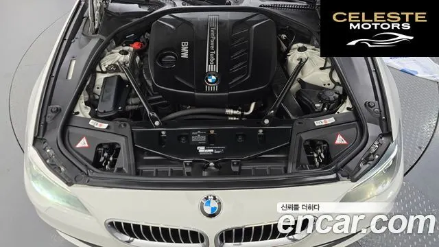 BMW Série 5 (F10) 520d xDrive 2014 — photo 18 sur 26