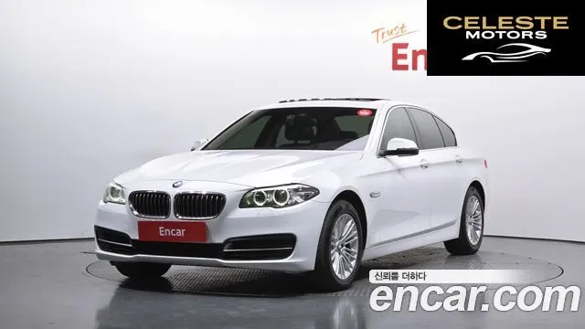 BMW Série 5 (F10) 520d xDrive 2014 — photo 22 sur 26