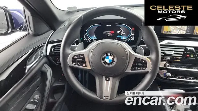 BMW Série 5 (G30) 530e M Sport 2020 — photo 13 sur 20
