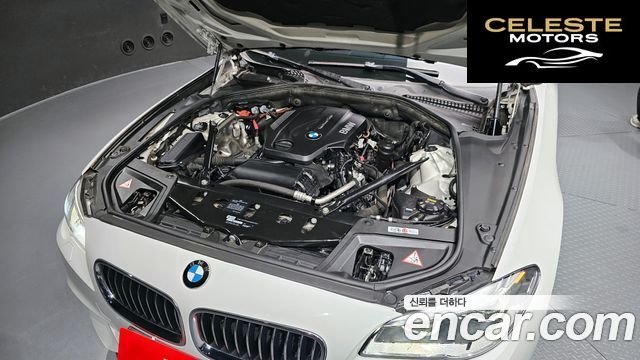 BMW Série 5 (F10) 520d M Aéro Dynamic 2016 — photo 6 sur 26