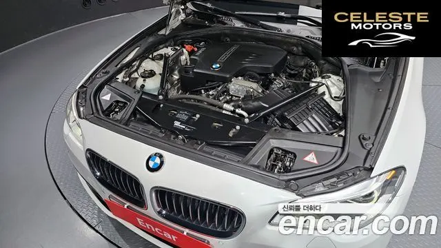 BMW Série 5 (F10) 528i Luxury Plus 2016 — photo 6 sur 26