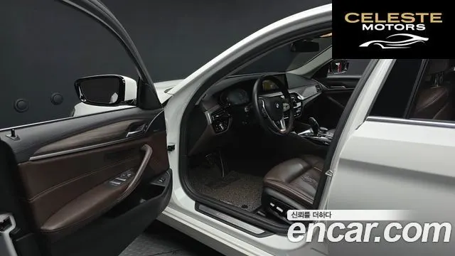 BMW Série 5 (G30) 520d Luxury Plus 2020 — photo 10 sur 20