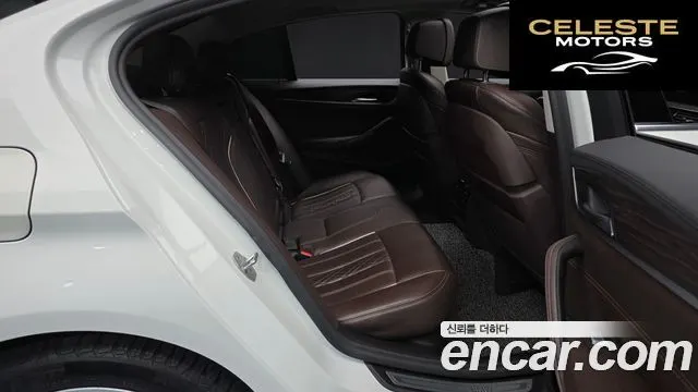 BMW Série 5 (G30) 520d Luxury Plus 2020 — photo 12 sur 20