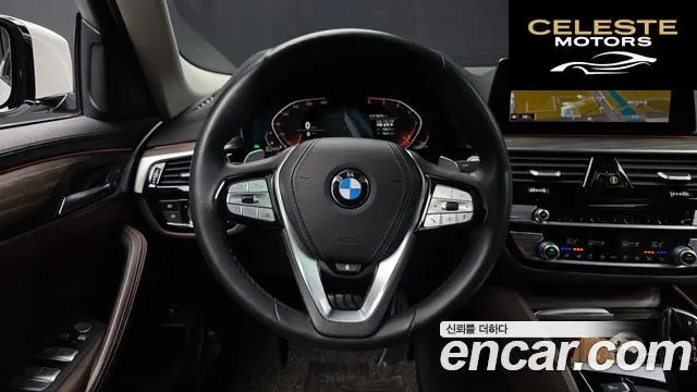 BMW Série 5 (G30) 520d Luxury Plus 2020 — photo 13 sur 20