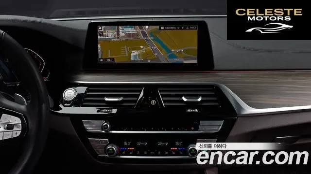BMW Série 5 (G30) 520d Luxury Plus 2020 — photo 14 sur 20