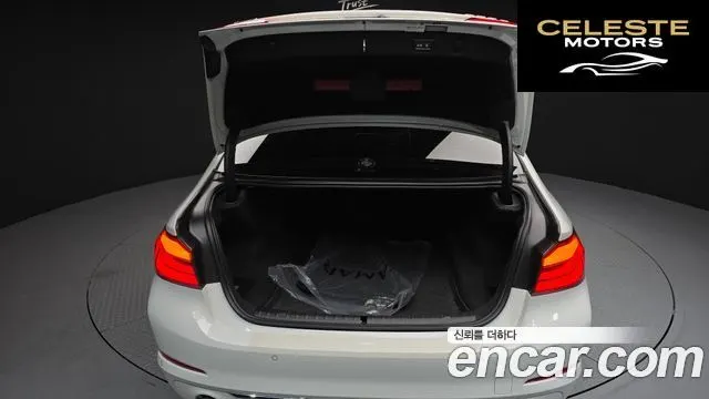 BMW Série 5 (G30) 520d Luxury Plus 2020 — photo 20 sur 20