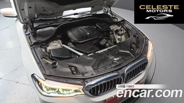 BMW Série 5 (G30) 520d Luxury Plus 2020 — photo 6 sur 20