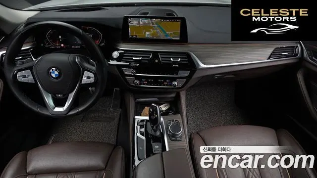 BMW Série 5 (G30) 520d Luxury Plus 2020 — photo 7 sur 20