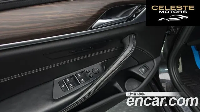BMW Série 5 (G30) 520d M Sport Plus 2017 — photo 17 sur 20